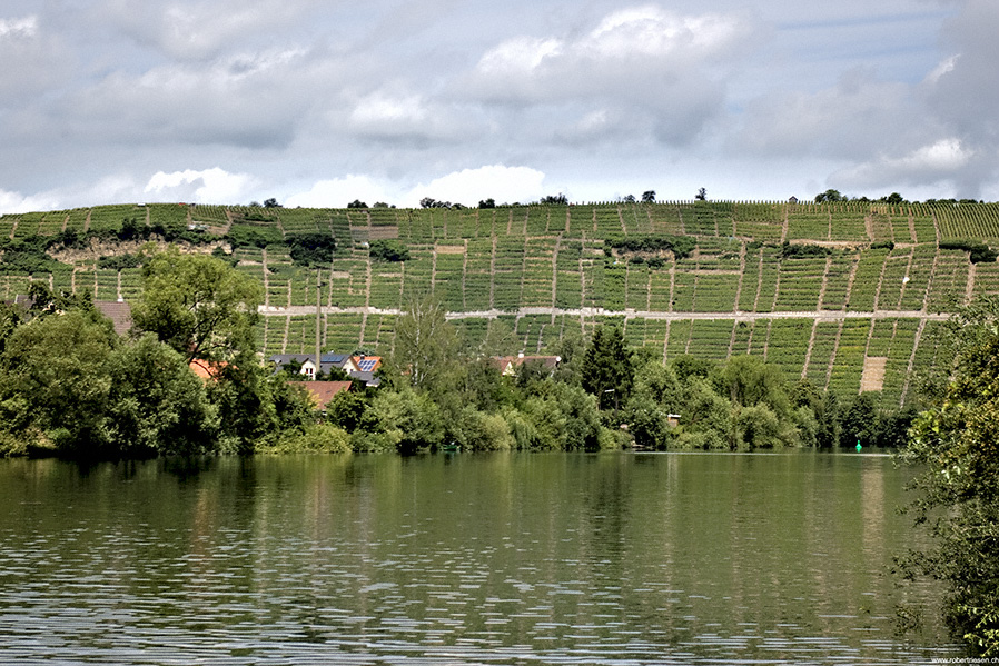 Weinberge von Mundelsheim