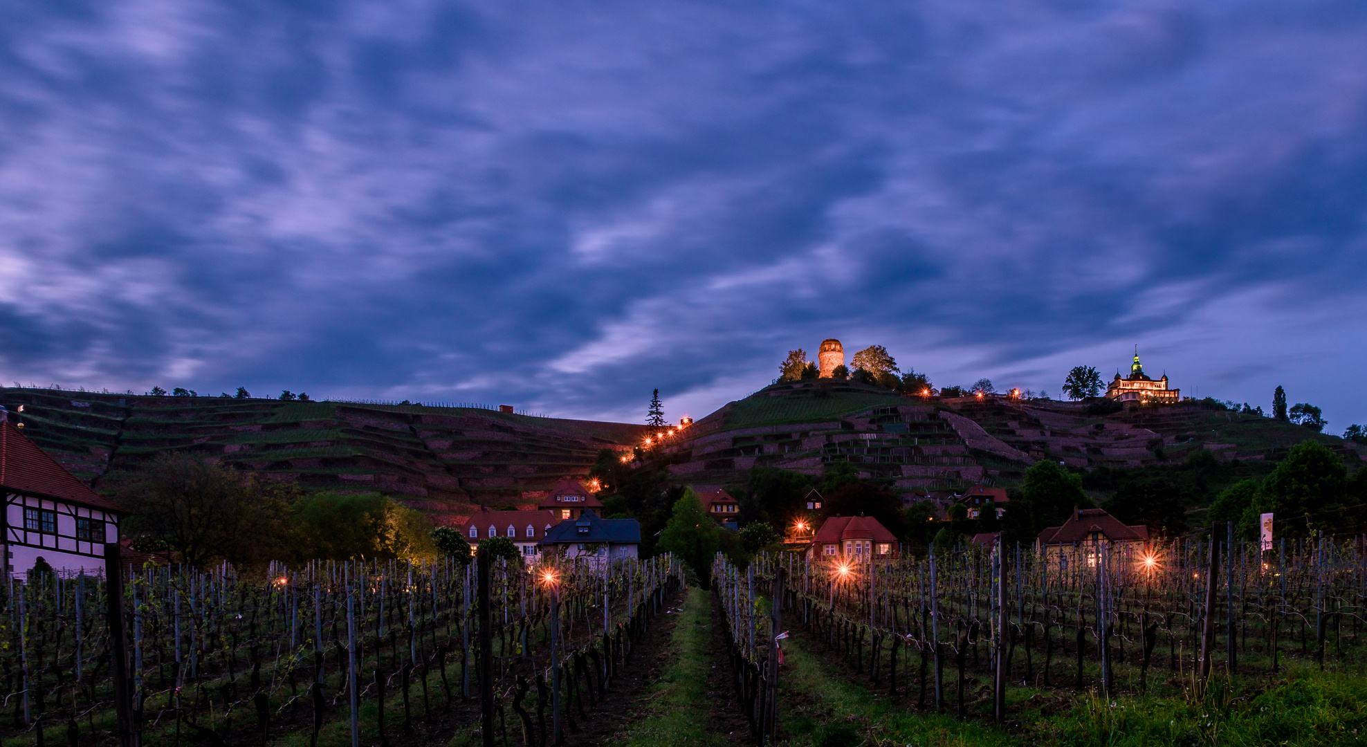 Weinberge zur blauen Stunde in Radebeul