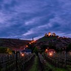 Weinberge zur blauen Stunde in Radebeul