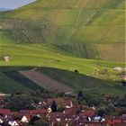 Weinberge zwischen Stuttgart und Fellbach