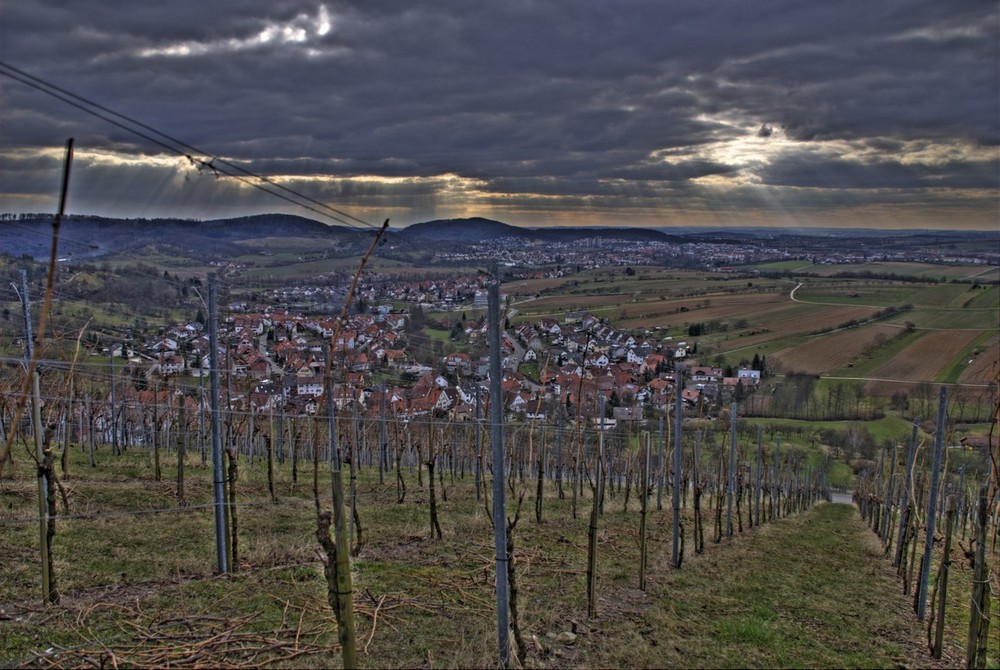 Weinbergen bei Winnenden