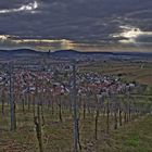 Weinbergen bei Winnenden