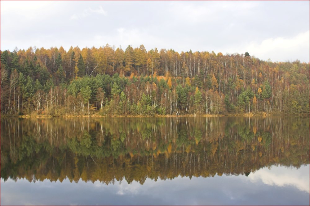 weinberger see