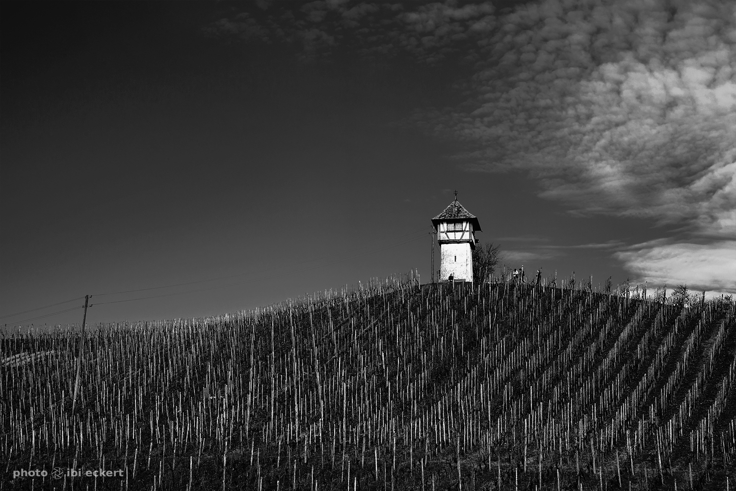 Weinberggrafik mit Rebhäuschen