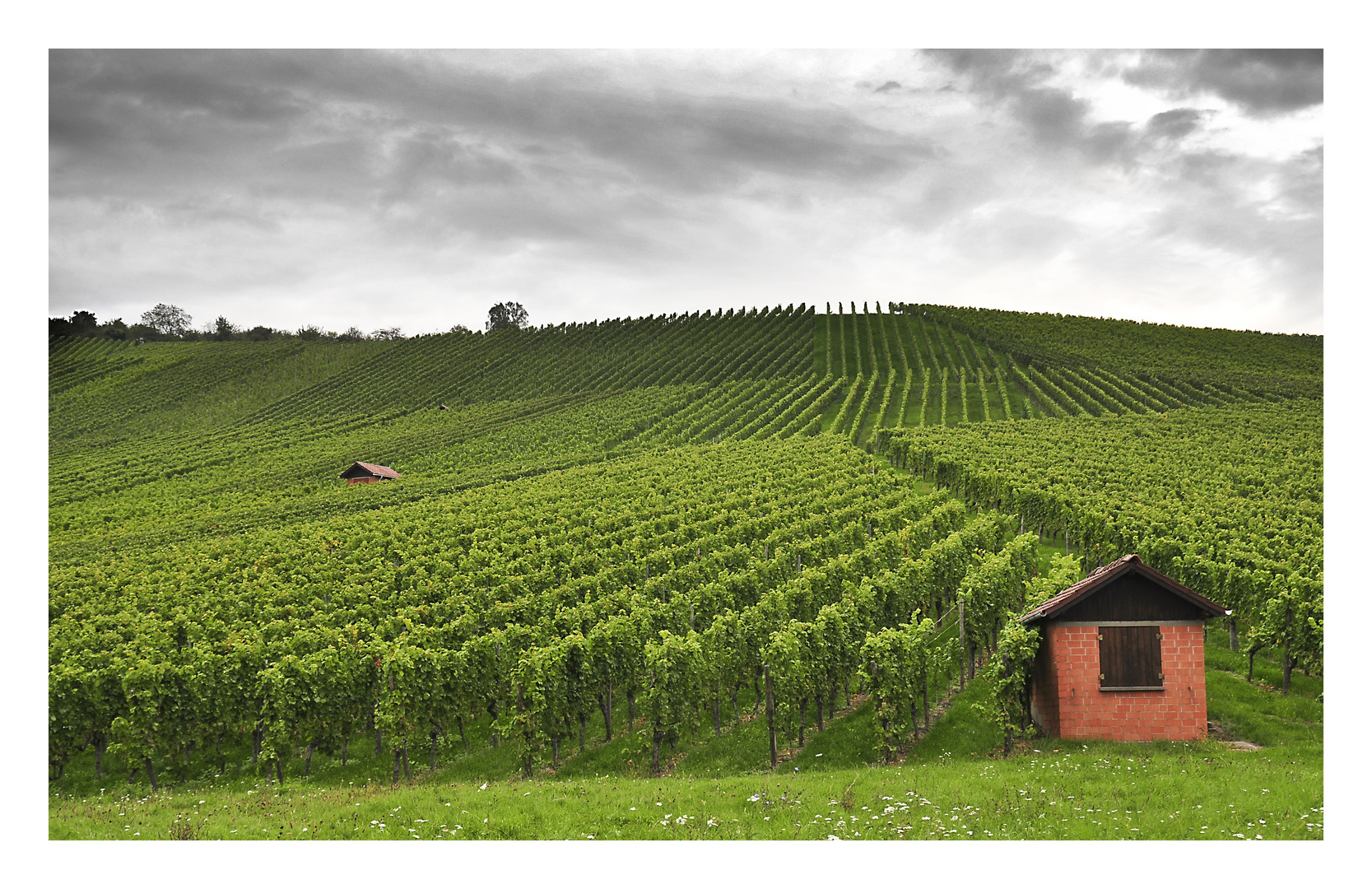 Weinberghäuschen