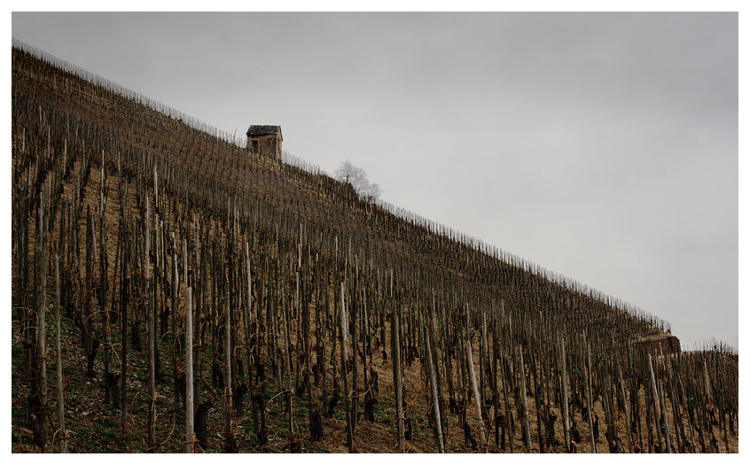 Weinberghäuschen