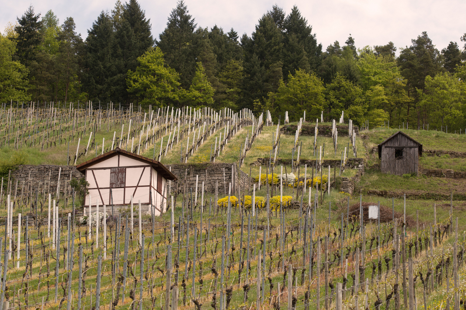 Weinberghäuschen am Geigersberg