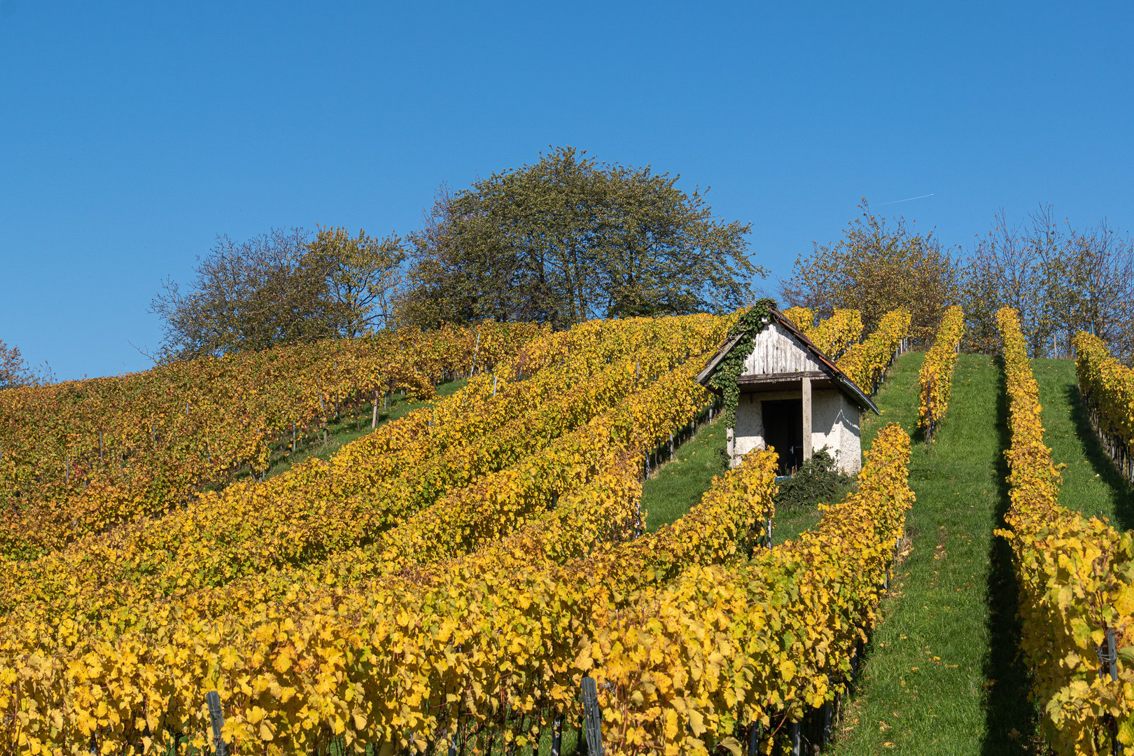 Weinberghäuschen bei Heppenheim im Herbst