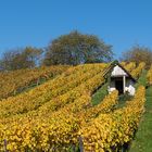 Weinberghäuschen bei Heppenheim im Herbst