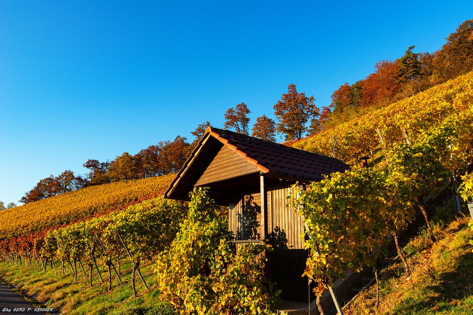 Weinberghäuschen in Stuttgarter Steillagen