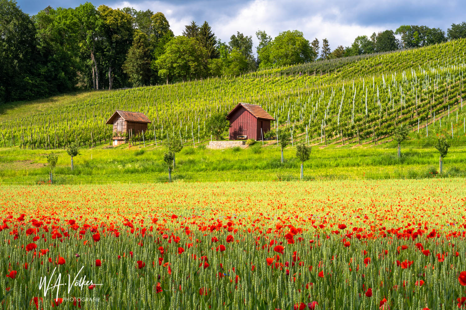 Weinberghäuser