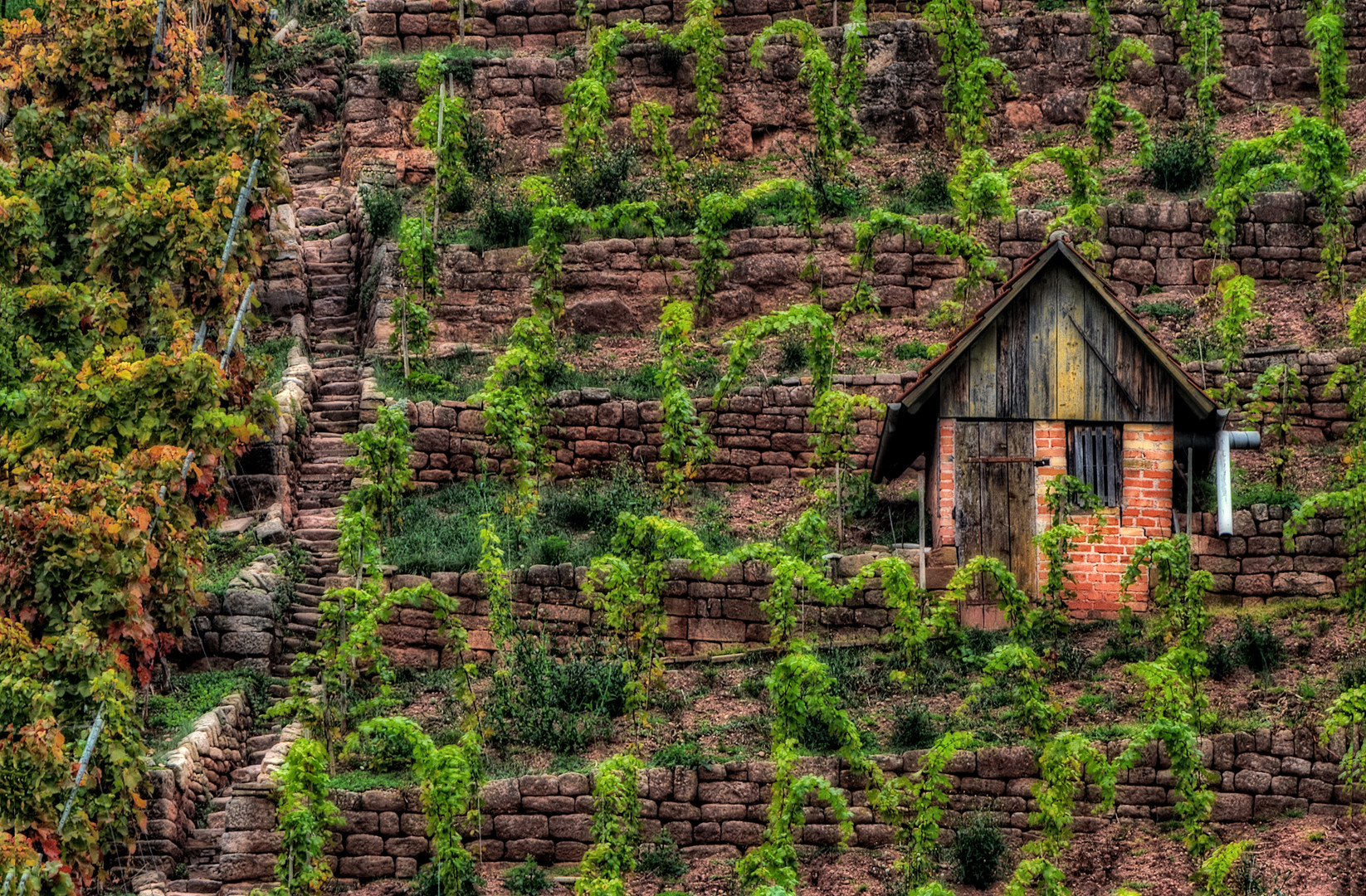 Weinberghäusle auf dem Lenzenberg (Hedelfingen) HDR