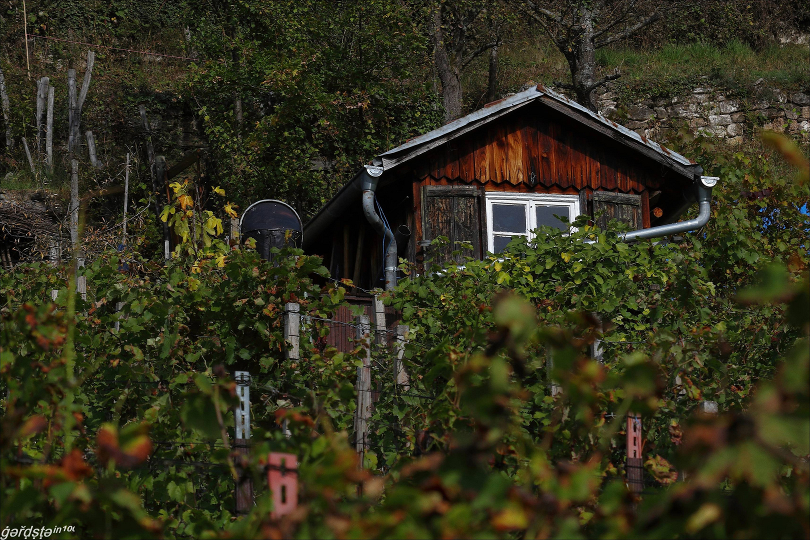 Weinberghäussle Tübingen