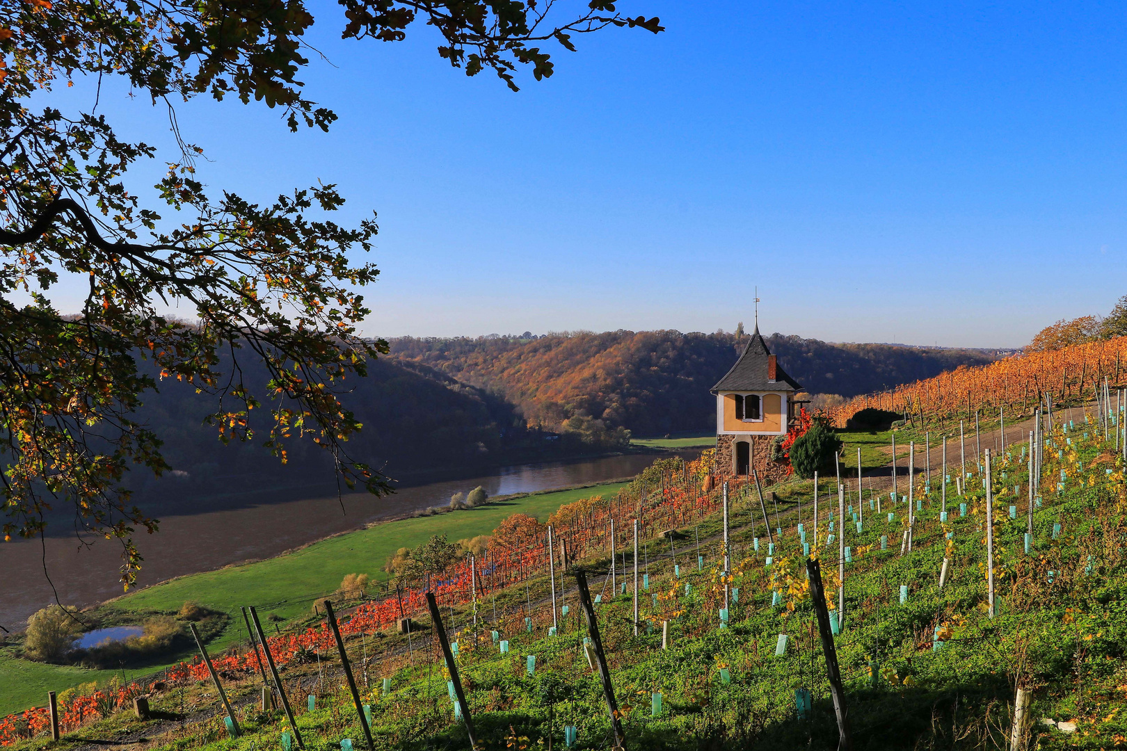 Weinberghaus „Schwalbennest“ 