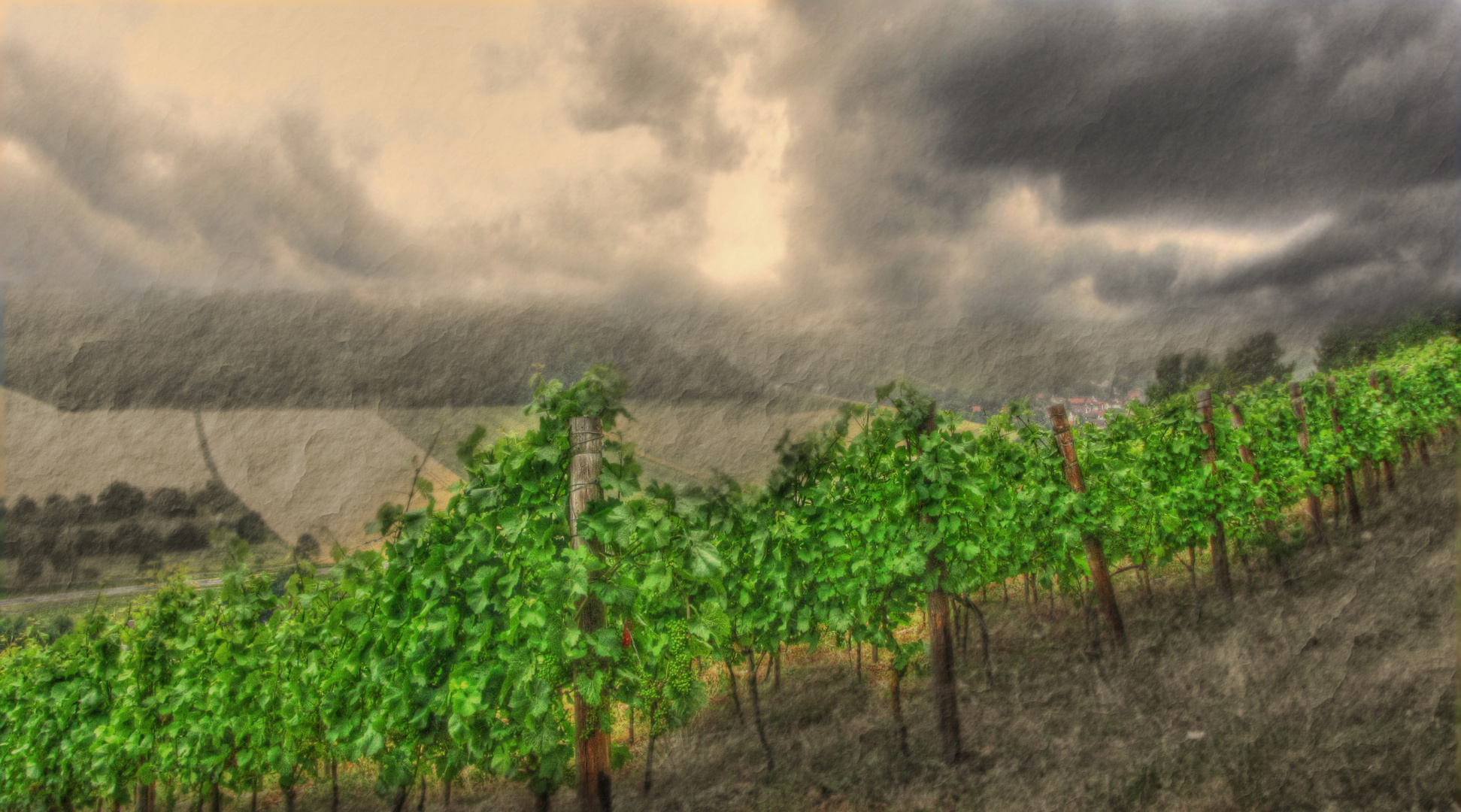 Weinberg_HDR-PAINTING