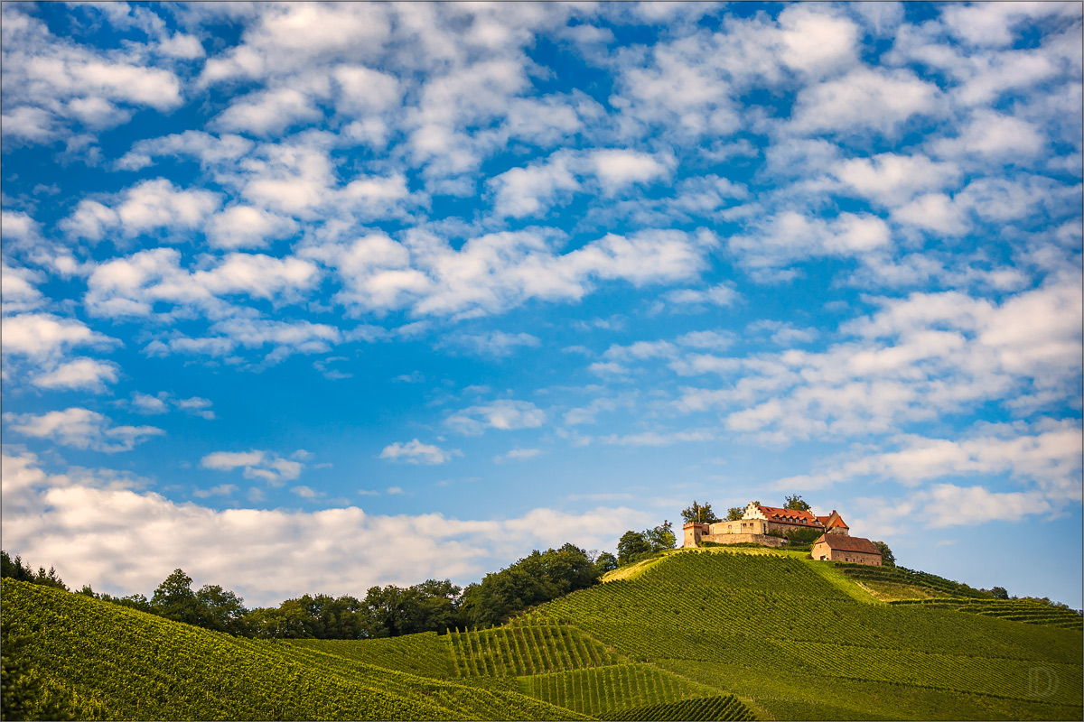 Weinberghügel