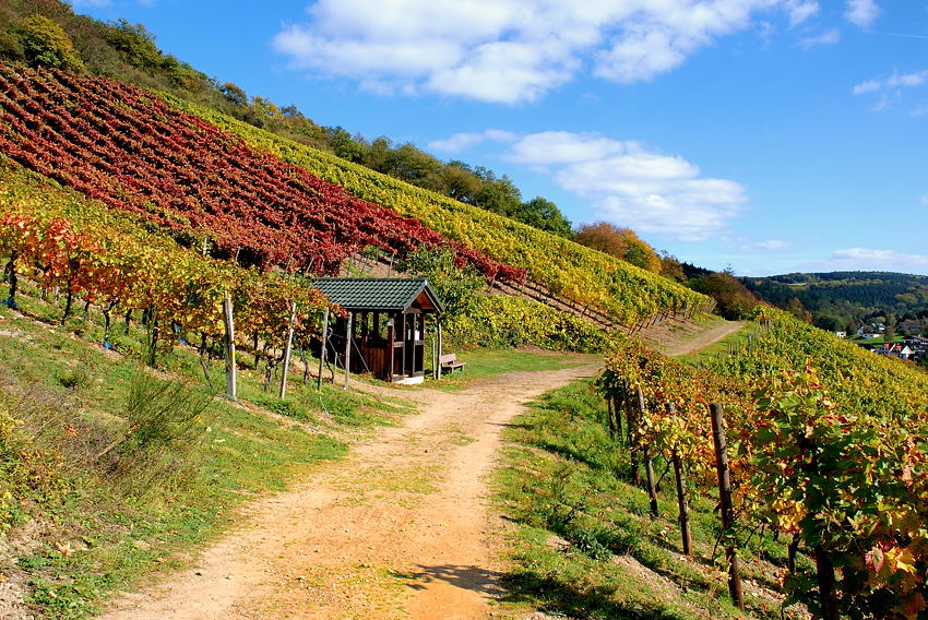 Weinberghütte 2