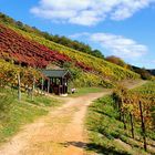 Weinberghütte 2