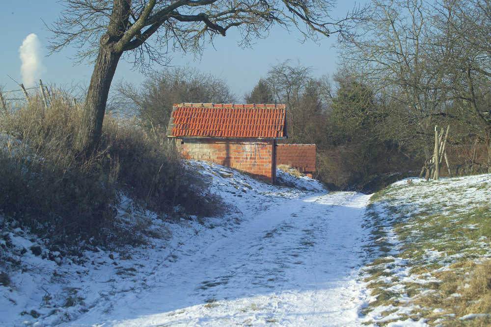 Weinberghütte