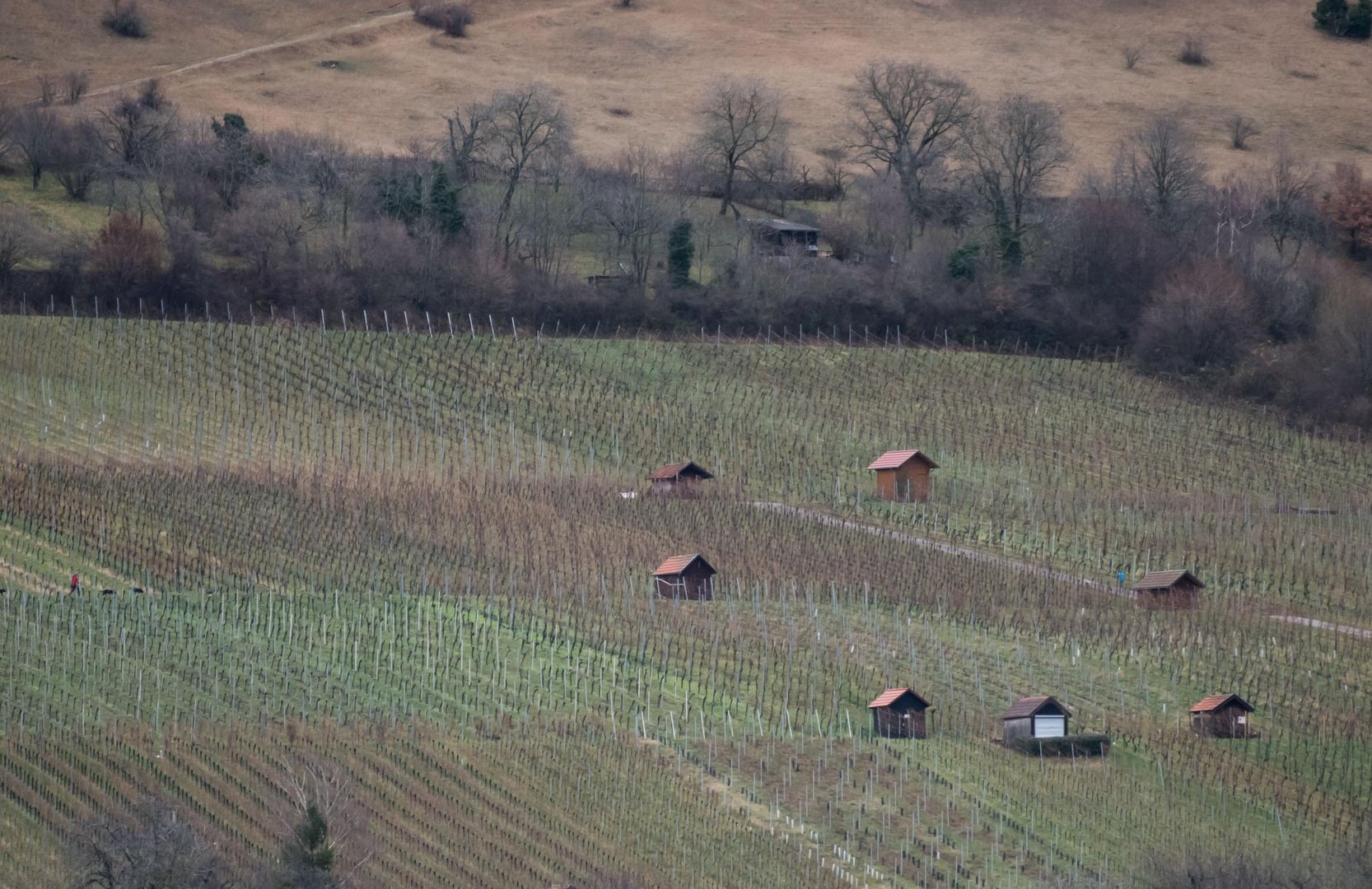 Weinberghütten