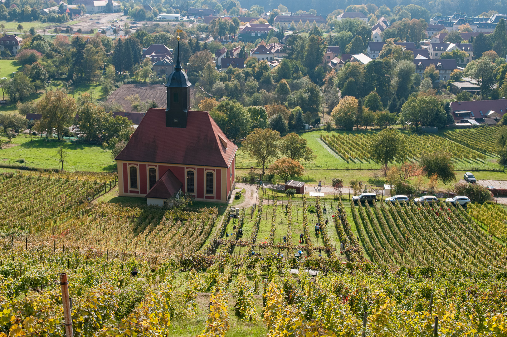 Weinbergkirche Dresden I