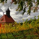 Weinbergkirche Pillnitz