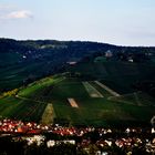 ...Weinberglandschaft ....