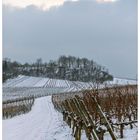 Weinberglandschaft