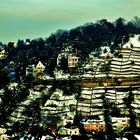 Weinberglandschaft um Stuttgart