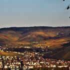 Weinberglandschaften im Herbst