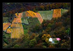 Weinberglorelyblick