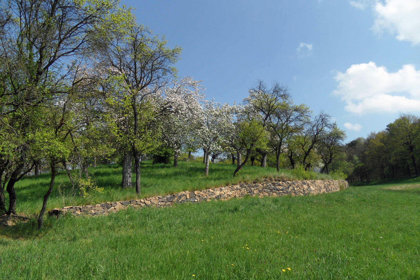 Weinbergmauer