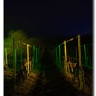 Weinbergnacht 2012 - Die Rebe 2