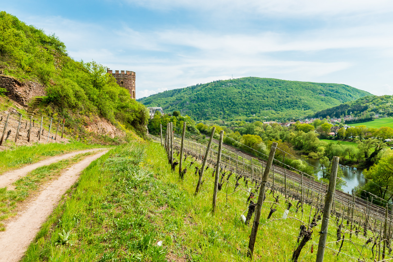 Weinbergsburg bei Oberhausen 21