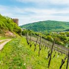 Weinbergsburg bei Oberhausen 21