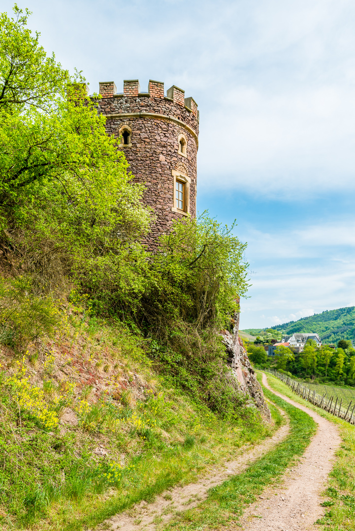 Weinbergsburg bei Oberhausen 25