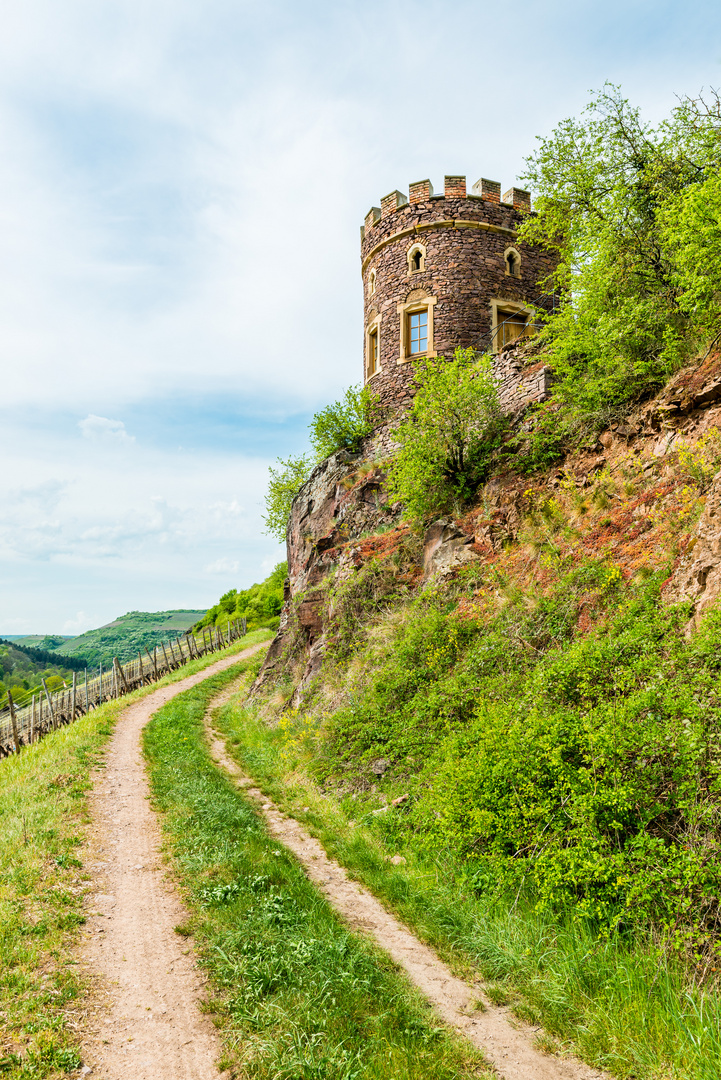 Weinbergsburg bei Oberhausen 30