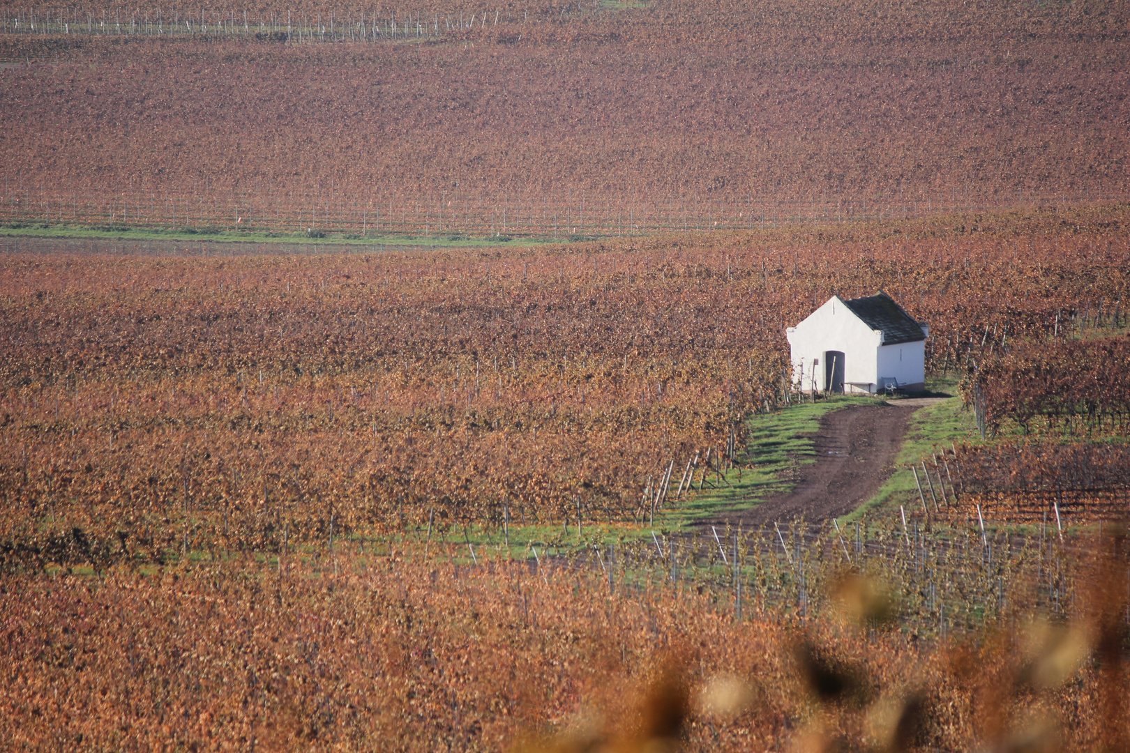 Weinbergshäuschen