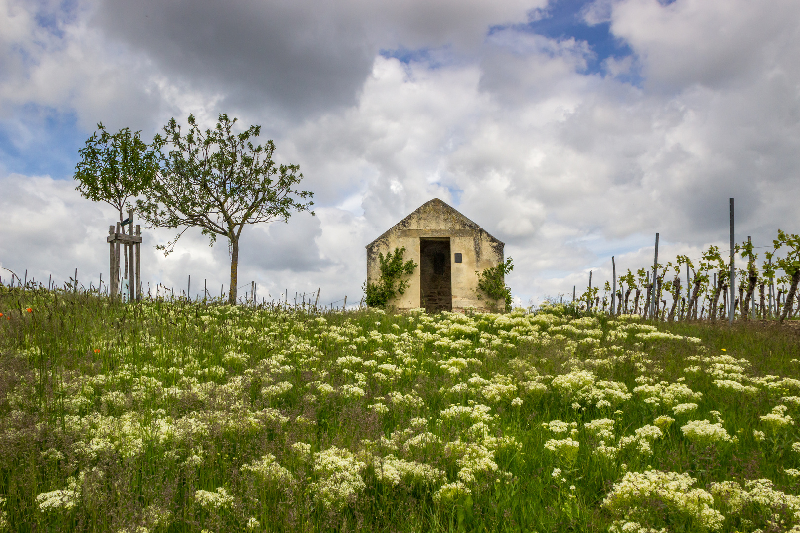 Weinbergshäuschen