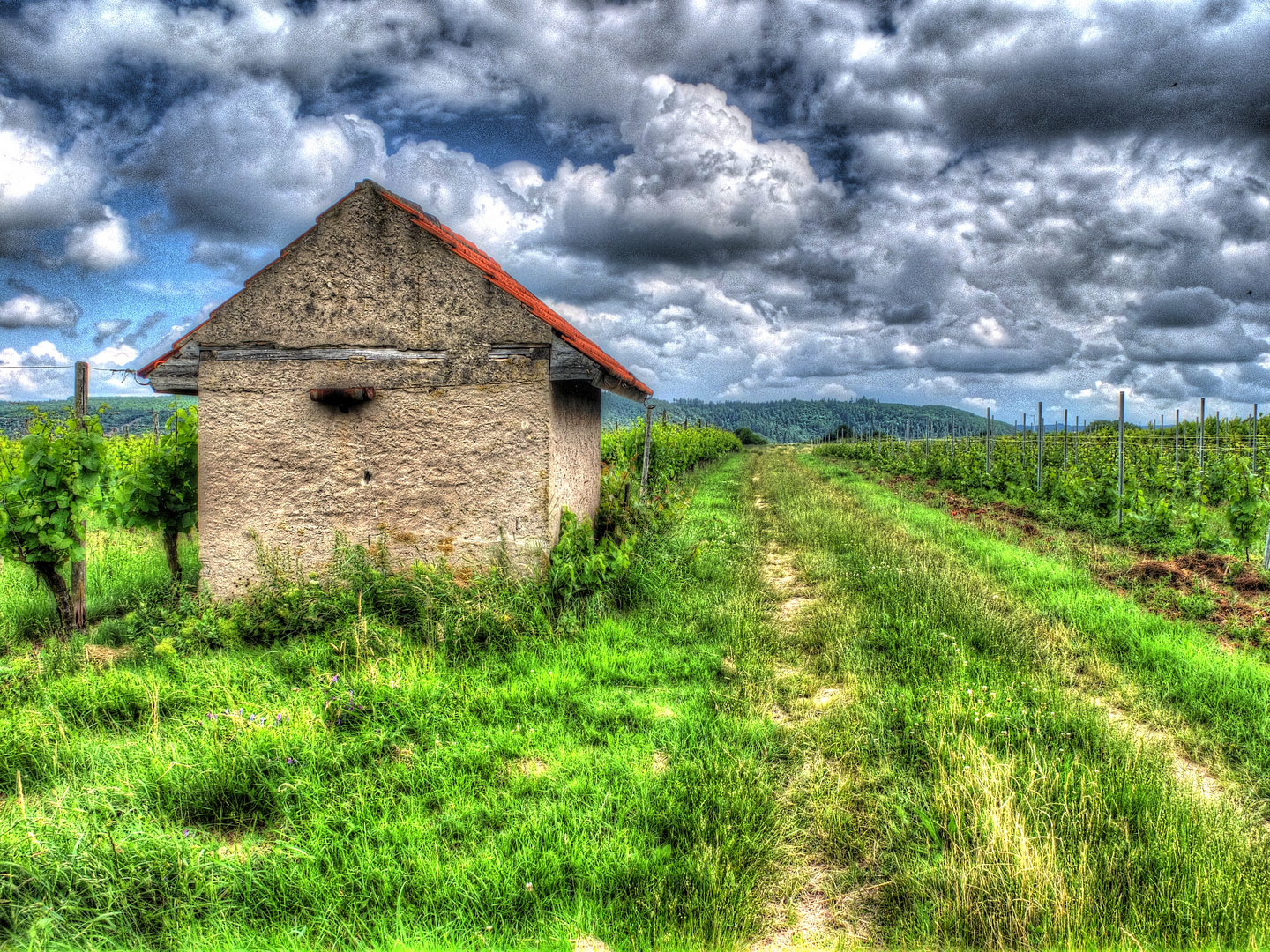 Weinbergshäuschen bei Ebernburg (2)