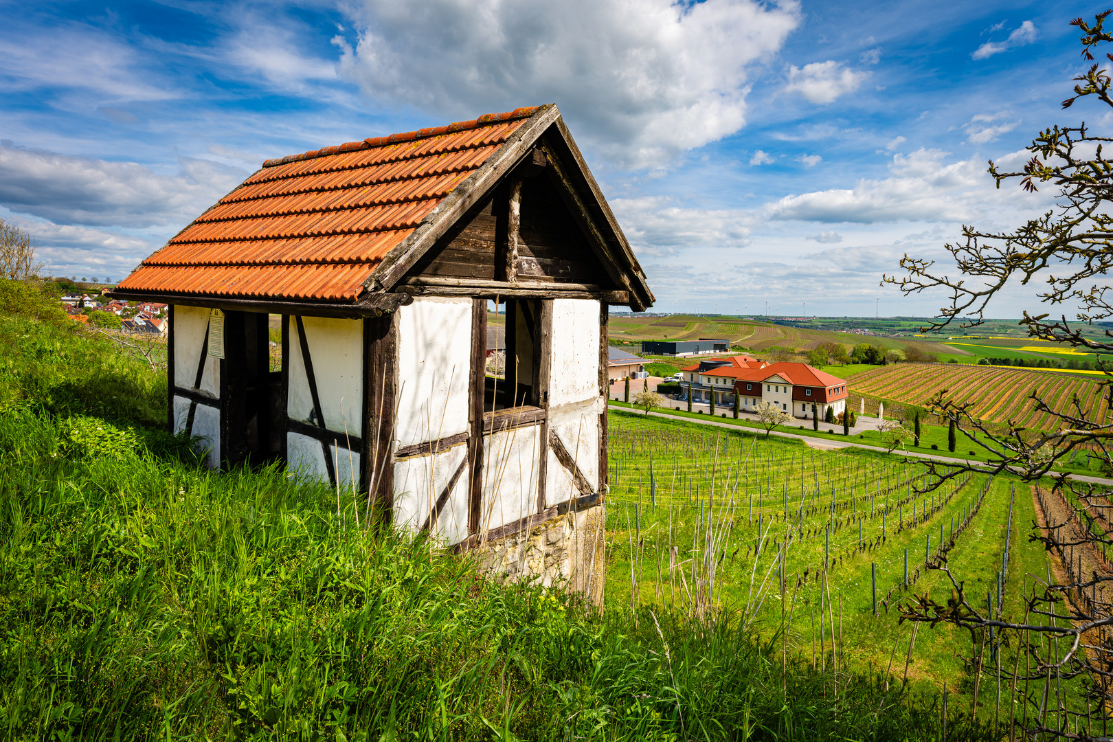 Weinbergshäuschen bei Vendersheim 49