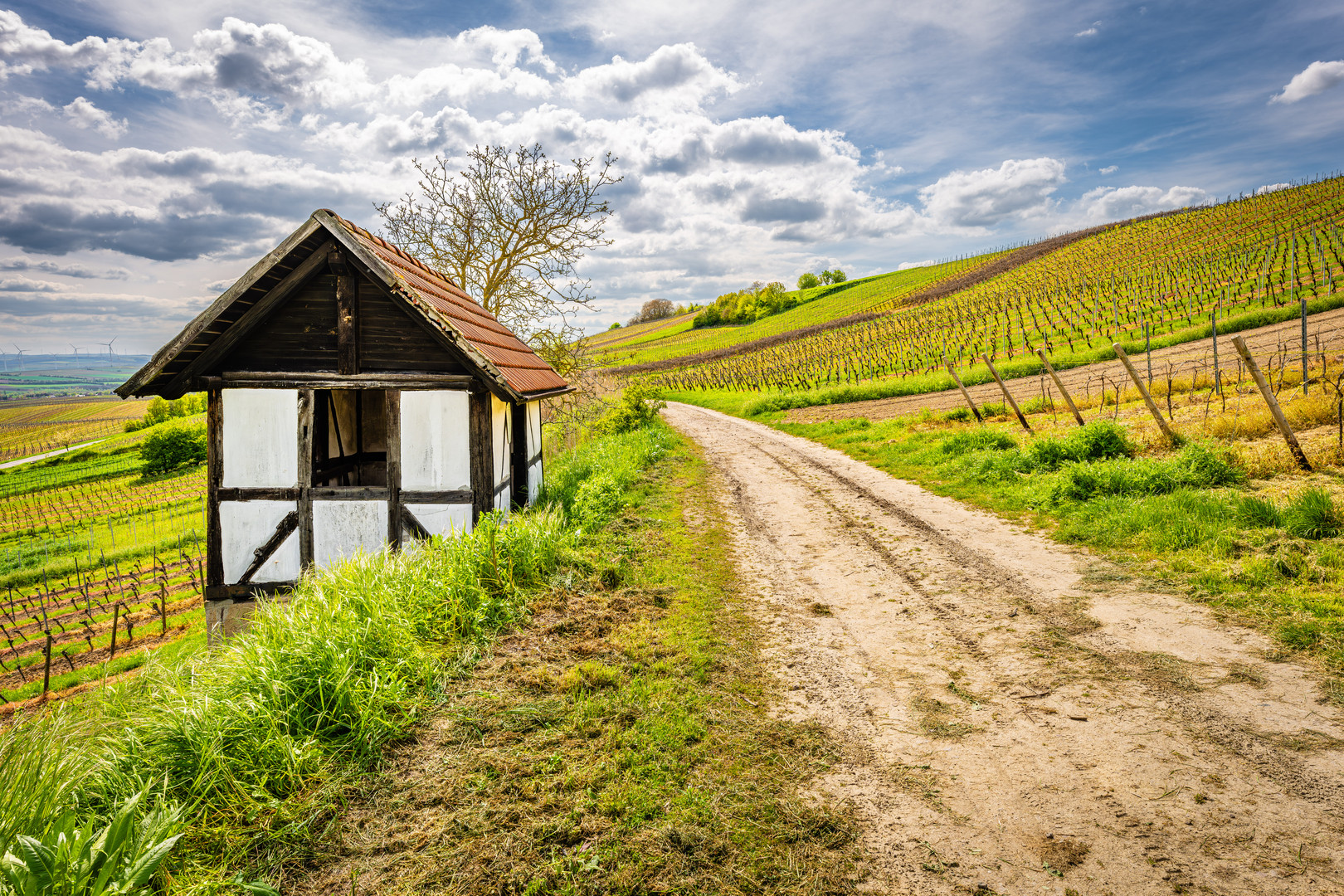 Weinbergshäuschen bei Vendersheim 68