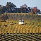 Weinbergshäuschen im Herbst