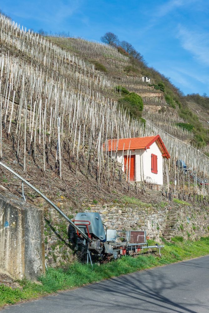 Weinbergshaus bei Neef-Mosel 14