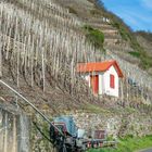 Weinbergshaus bei Neef-Mosel 14