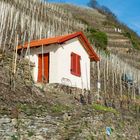 Weinbergshaus bei Neef-Mosel 20