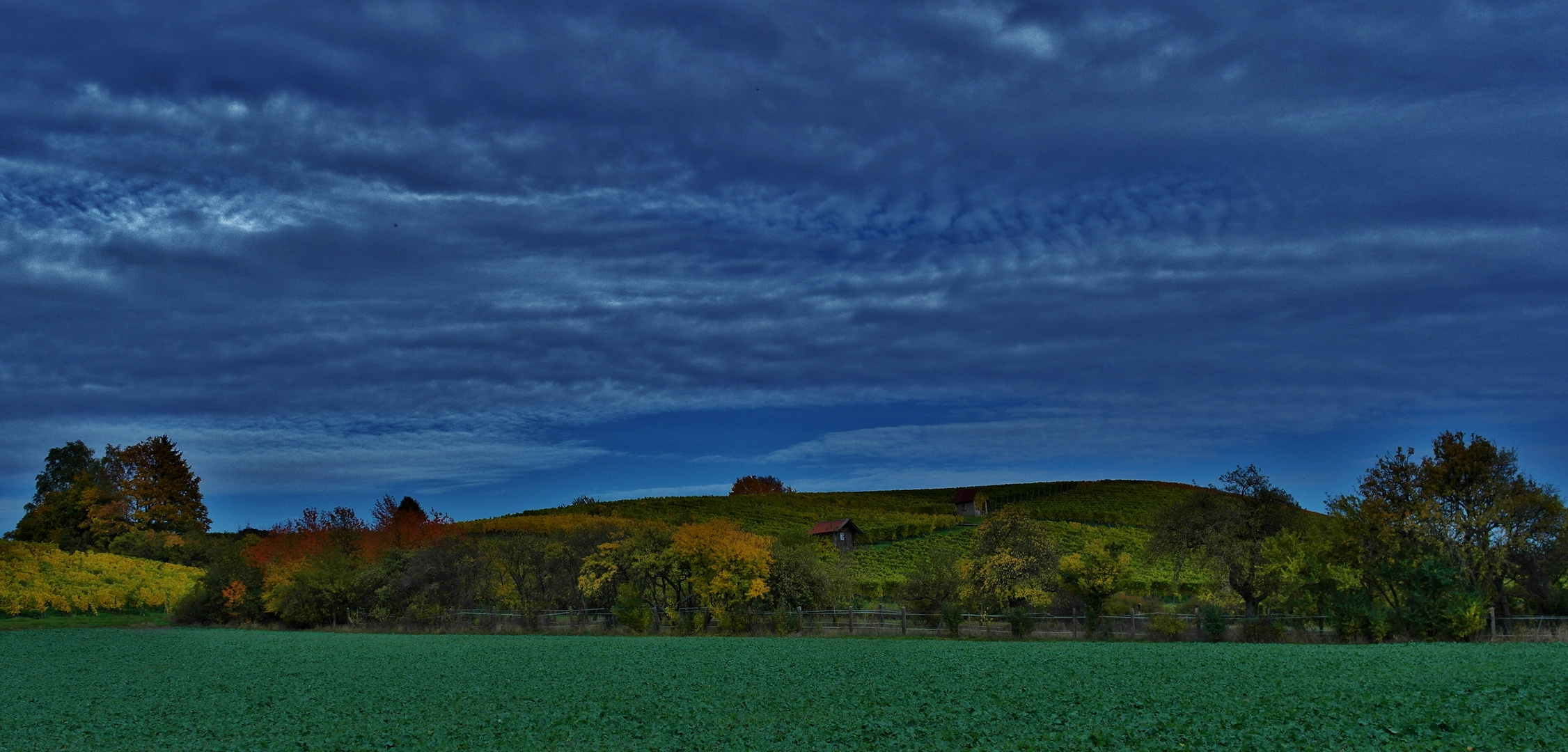 Weinbergsherbst