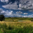 Weinbergslandschaft