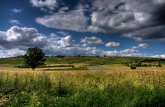 Weinbergslandschaft