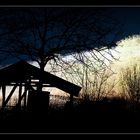 Weinbergsleuchten am Roten Hang (3)